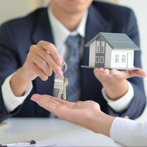 Quản lý đất đai